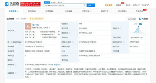 OPPO戰略投資瀚巍創芯電子公司，深化基礎軟件服務布局